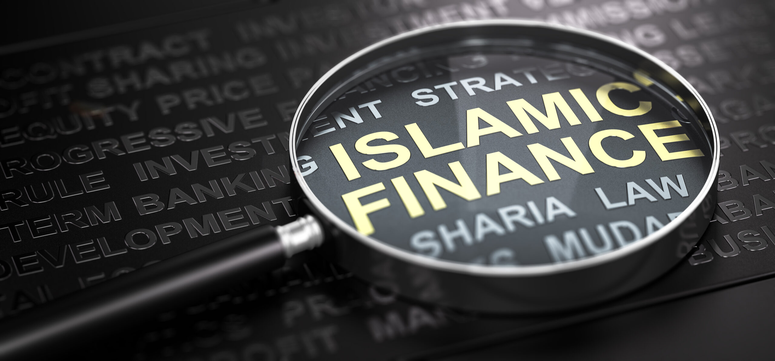 Islamic Finance in Europe: Discovering the Truth About Islamic Banks in Germany